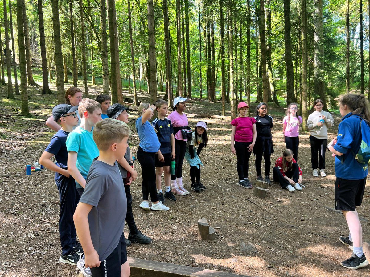 Simpson Primary tweet media