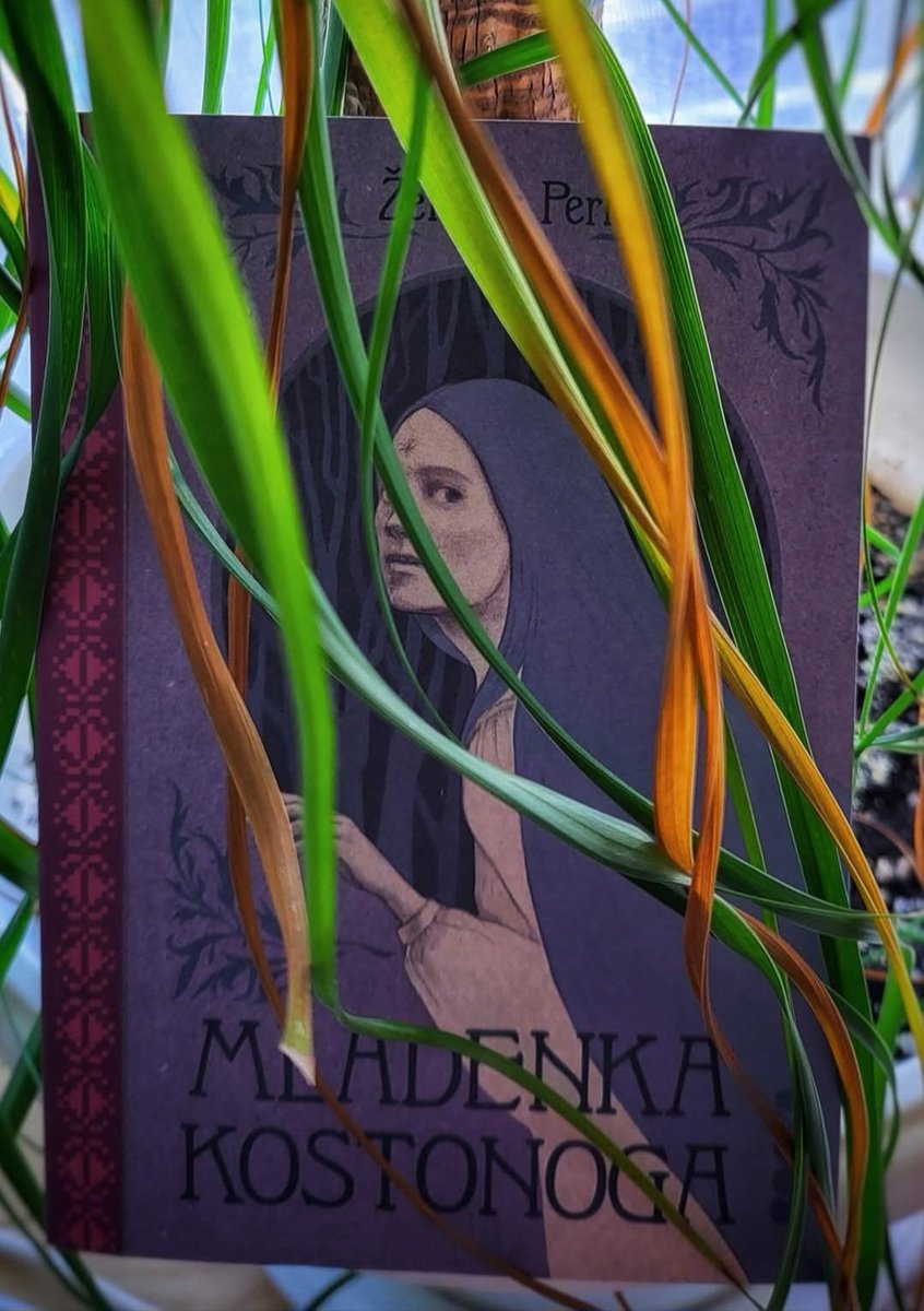 Mladenka kostonoga je roman za koji mi je često potrebno mnogo energije da nekoga ubedim da ga pročita, a onda taj neko posle par stranica bude potpuno očaran magijom veštice Gile.
Izuzetna upotreba jezika, važna i uvek aktuelna tema, besprekorna karakterizacija junakinje. 10/10!