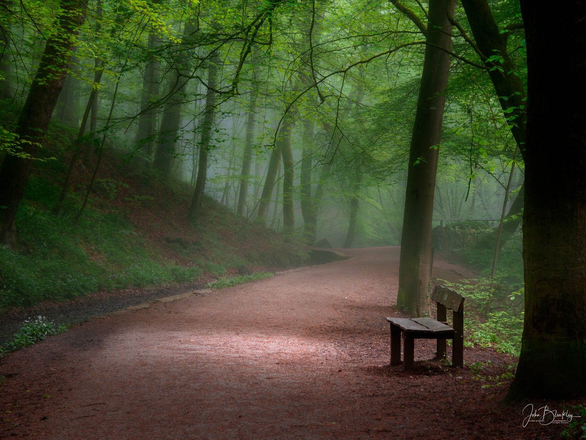 John Bleakley tweet media