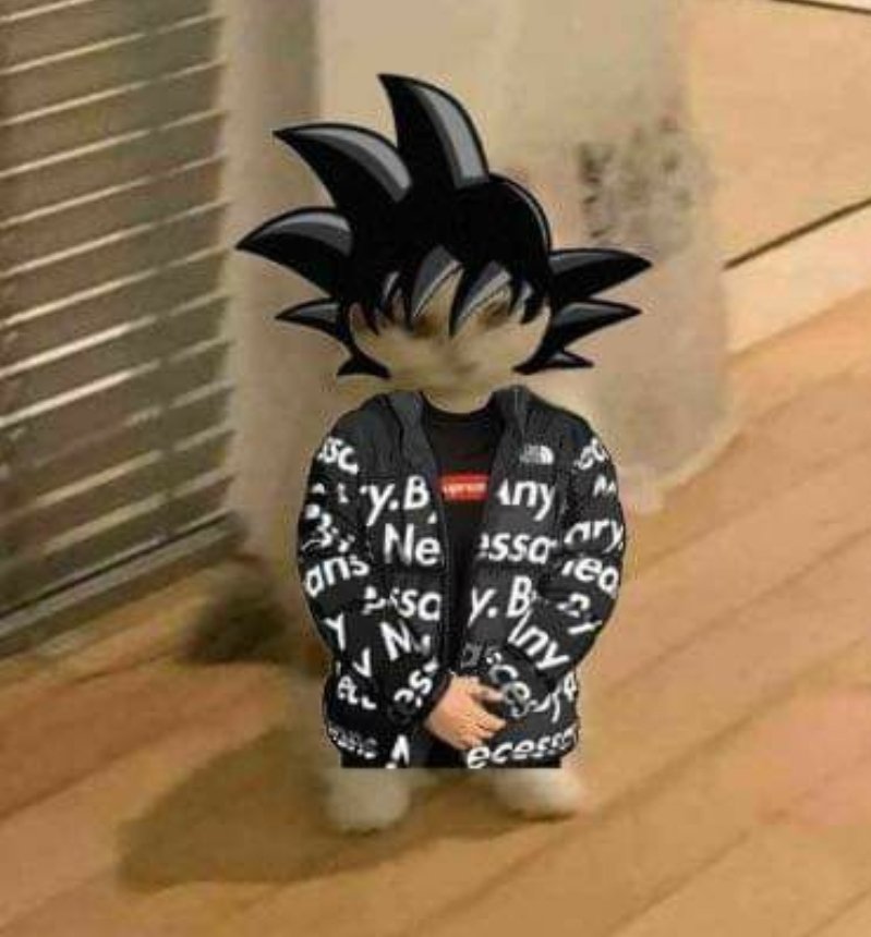 ScreamingNut0x's tweet image. Gm if you gm