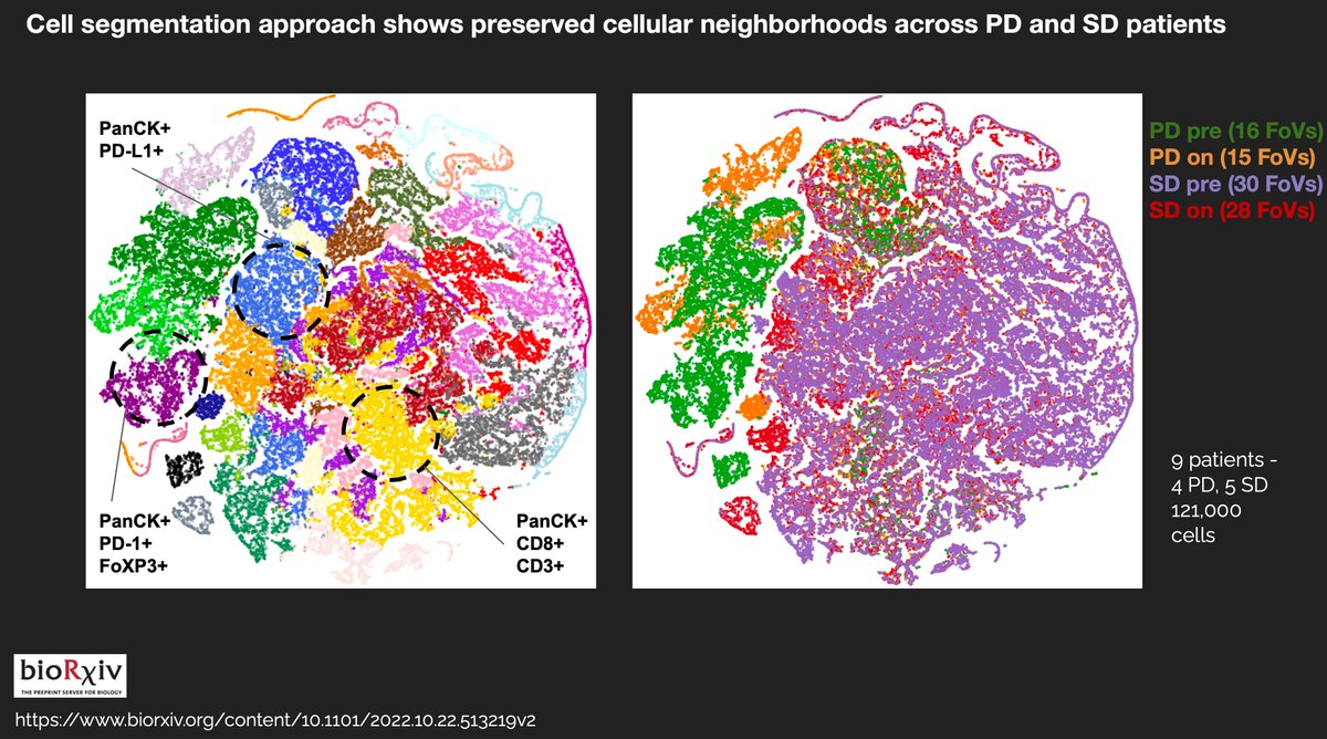 Jeffrey West (@mathoncbro) on Twitter photo Another fantastic "Methods & Tools" lecture last week!
This one from <a href="/sandhya212/">Sandhya Prabhakaran</a> on "Clustering & visualization of high-dimensional data" Another fantastic "Methods & Tools" lecture last week!
This one from <a href="/sandhya212/">Sandhya Prabhakaran</a> on "Clustering & visualization of high-dimensional data"