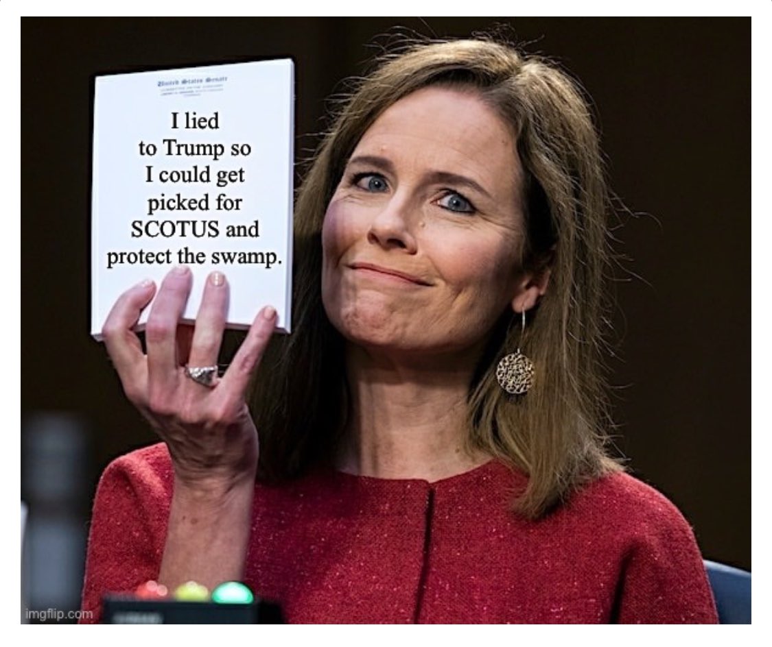 C_3C_3's tweet image. Traitor.