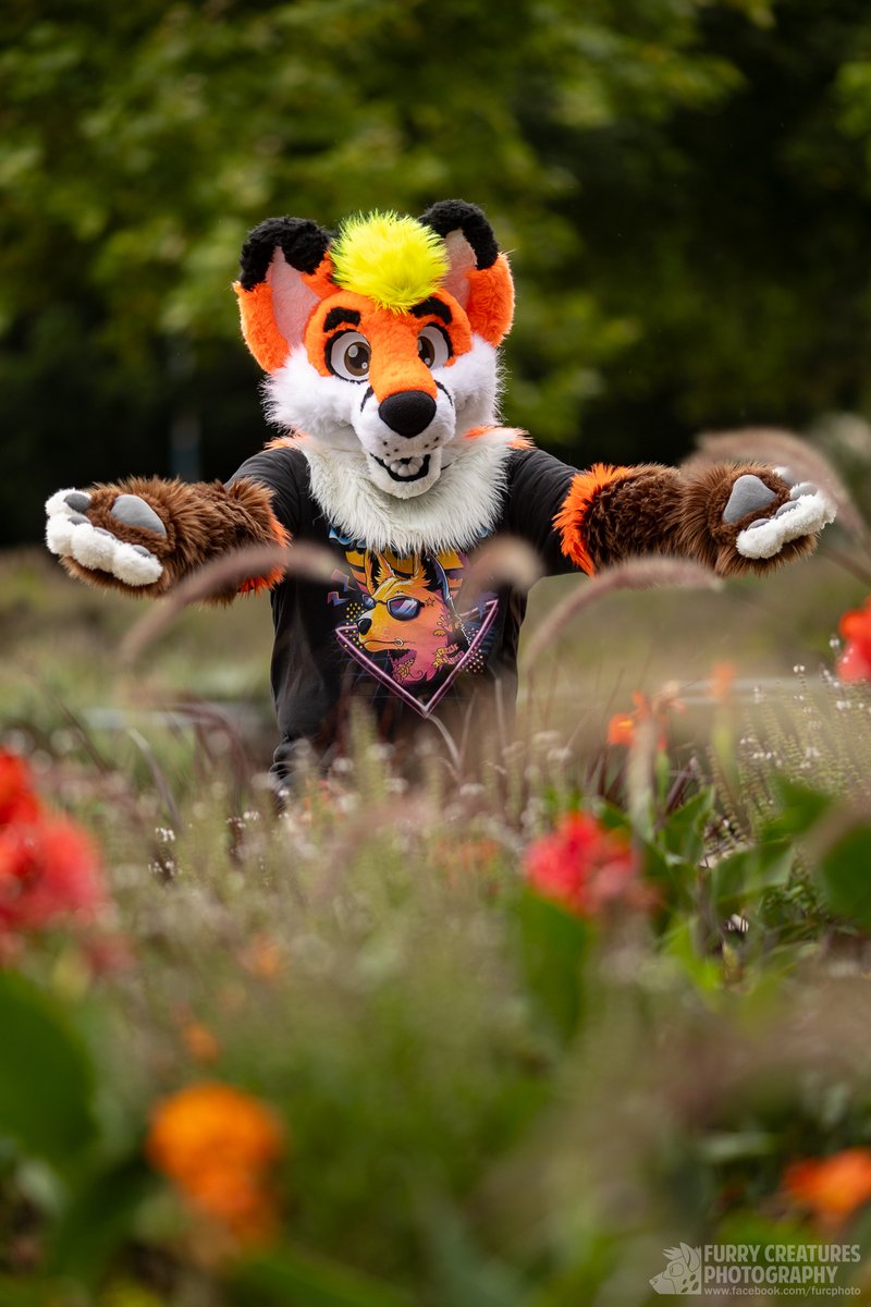 Pepper Fox 🔜Furizon (@pepperfox10) on Twitter photo Spring is here! Remember to appreciate the pretty flowers around you! 🌺🌻🌹
📸: <a href="/FurCPhoto/">Furry C. Photo</a>
#FursuitFriday #furry #fursuit #fursuiter #furryfandom Spring is here! Remember to appreciate the pretty flowers around you! 🌺🌻🌹
📸: <a href="/FurCPhoto/">Furry C. Photo</a>
#FursuitFriday #furry #fursuit #fursuiter #furryfandom