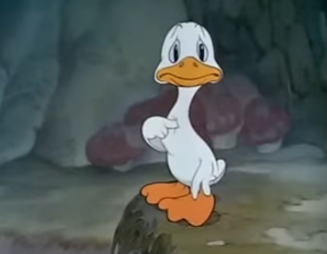 هبدأ بعد العيد