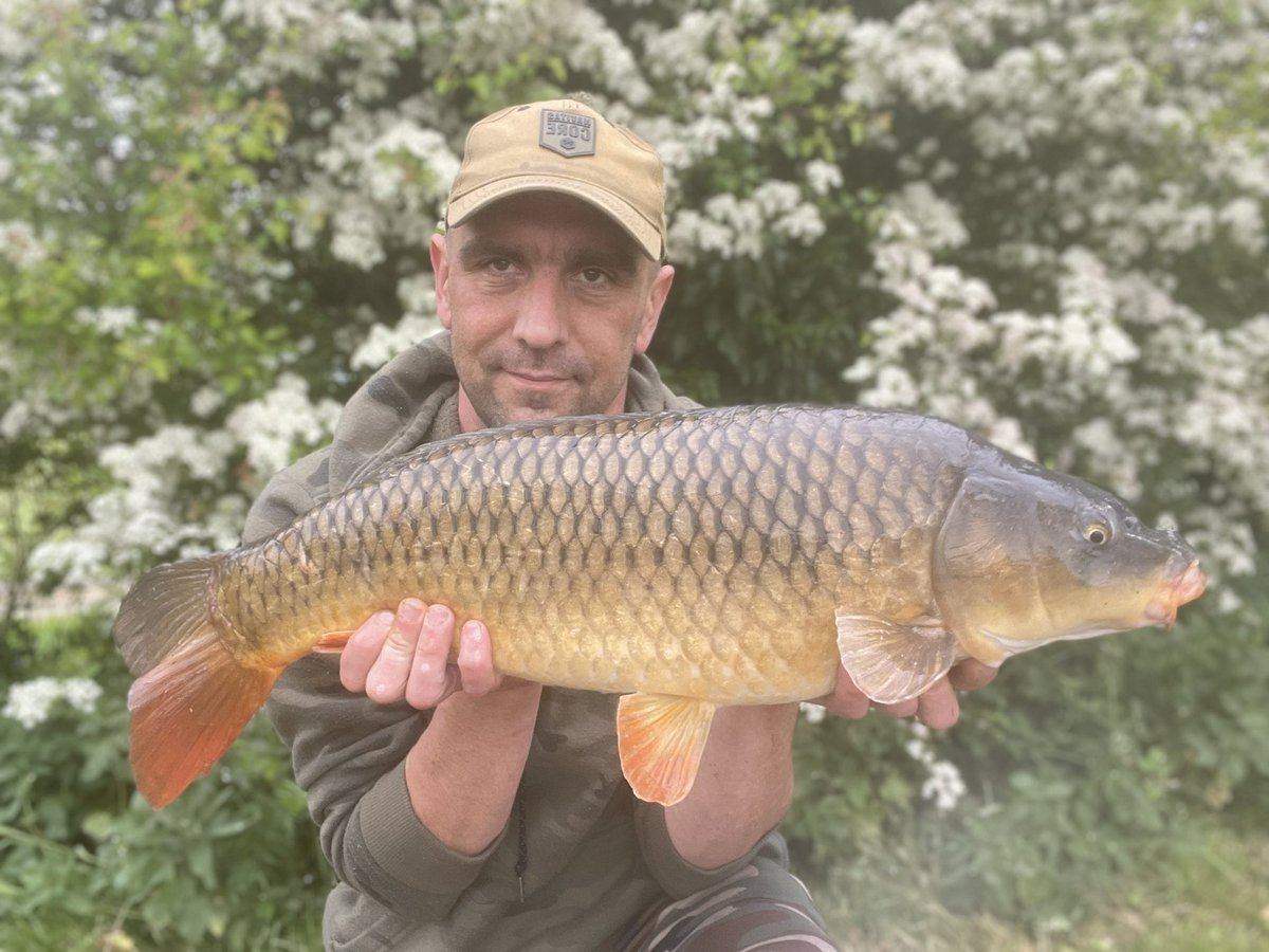 Nice one to start the evening👌
<a href="/5calesandtails/">scalesandtails</a> 
#carp #commoncarp #fishing #carpfishing #fishingtrip