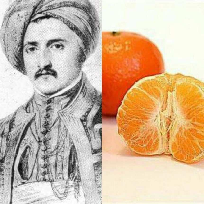 في عام ١٨٣٠م ، طالب مصري أرسله محمد علي باشا ضمن مجموعة من الطلاب للدراسة في فرنسا ، وأثناء عودته جلب شجيرات المندارين من مالطة وزُرعت في بستان محمد علي باشا .. وكان اسم الطالب "يوسف أفندي" وبإسمهِ سُميت الفاكهة ..