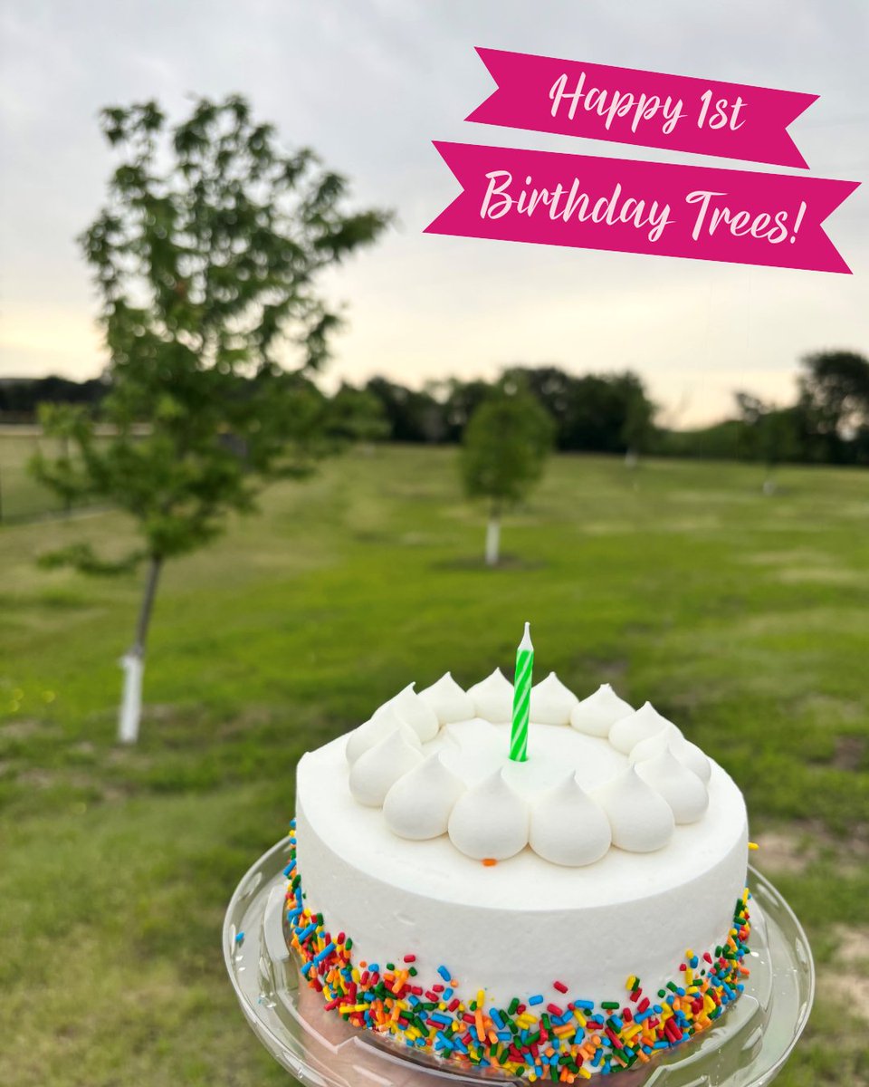 Happy 1st birthday to our baby trees 🌱

One year ago, we planted trees in Lewisville, Texas (near our global manufacturing center) with the  @ArborDay &amp; @klb_lewisville. Today, we’re back to check in and celebrate. (Yes, we brought cake.