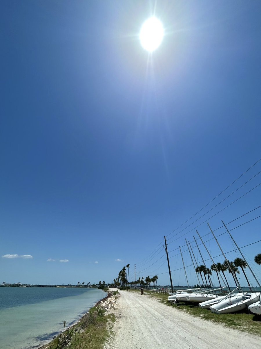 Floridian Creations tweet media