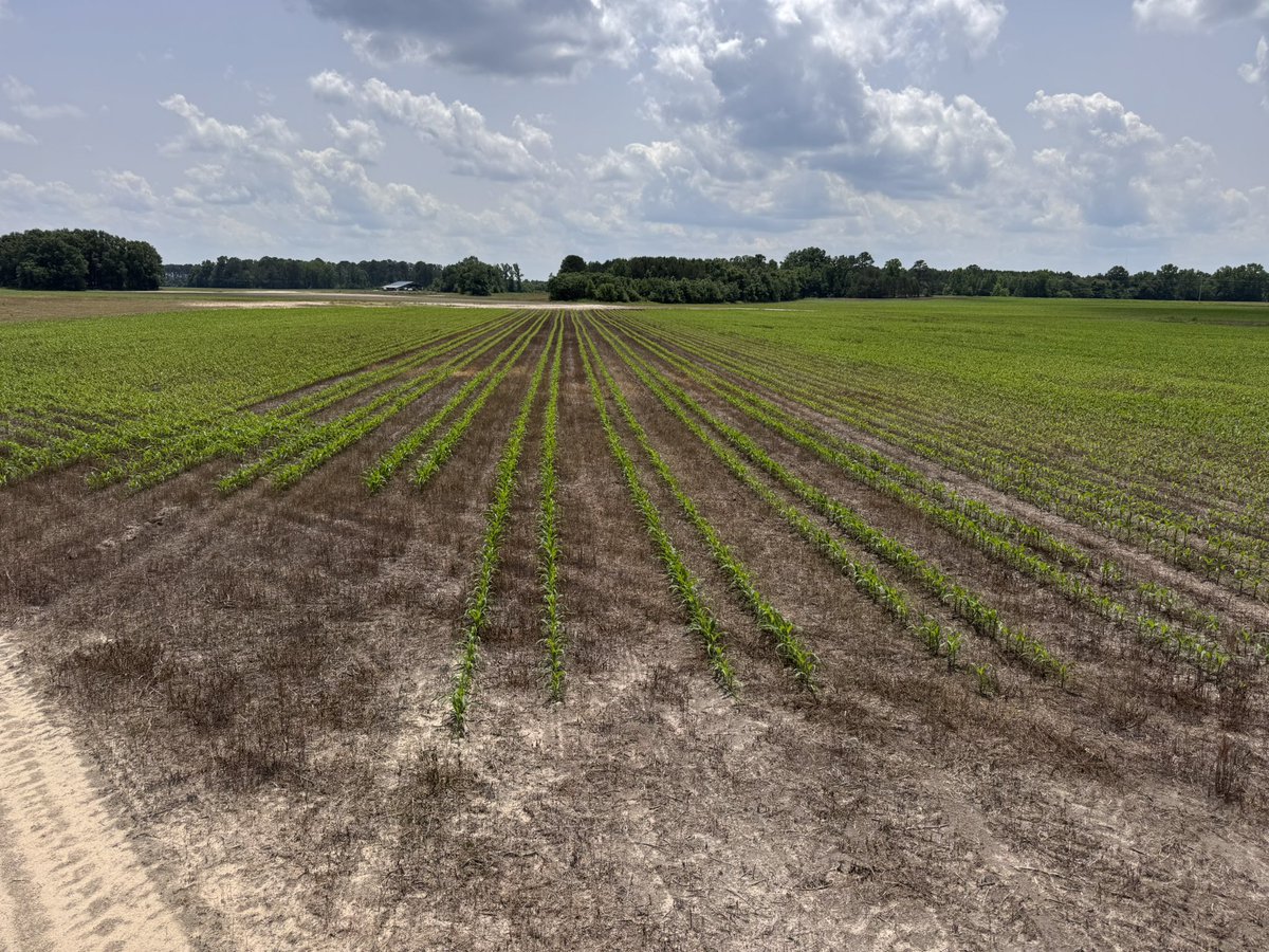 Wild Bill tweet media