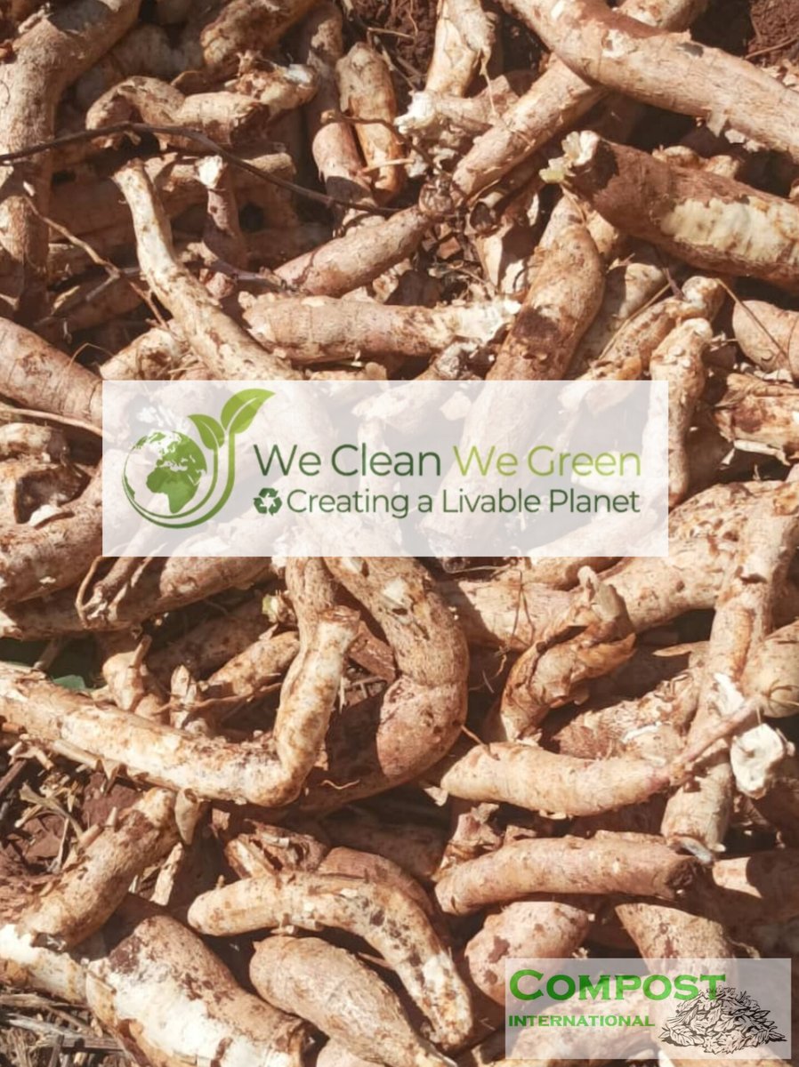 We Clean We Green - Malawi 🇲🇼 tweet media