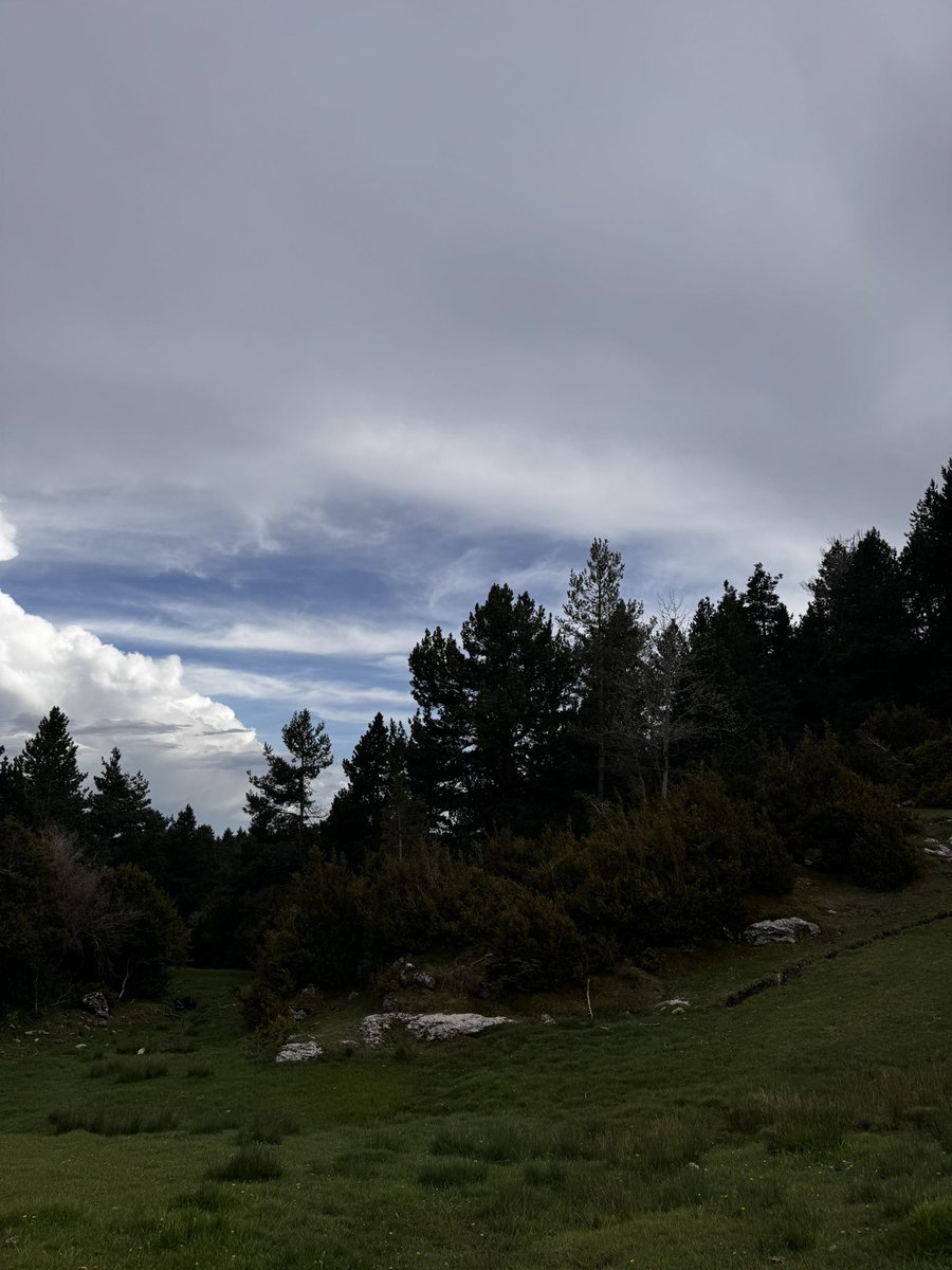 Entre verds i núvols, primavera a #RasosdePeguera #Berguedà