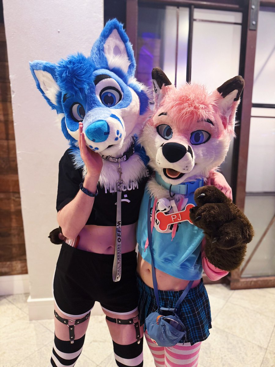 Blue fox and pink fox yapping and wagging after the Moonlight Festival at #FWA2025 🦊💙🩷🦊

🦊💙 <a href="/northernbluefox/">North</a> 
🦊🩷 <a href="/pjfoxes/">pjfoxes 🦊 🩷 🔜 MFF</a> 
📸 <a href="/SwixHuski/">Swix! 🔜 ANE/NFC</a> 

#furry #fursuit #fursuiting #fox #FursuitEveryday #FWA