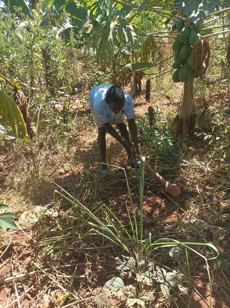 We Clean We Green - Malawi 🇲🇼 tweet media