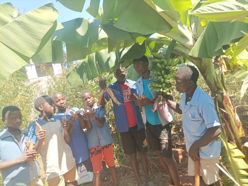 We Clean We Green - Malawi 🇲🇼 tweet media