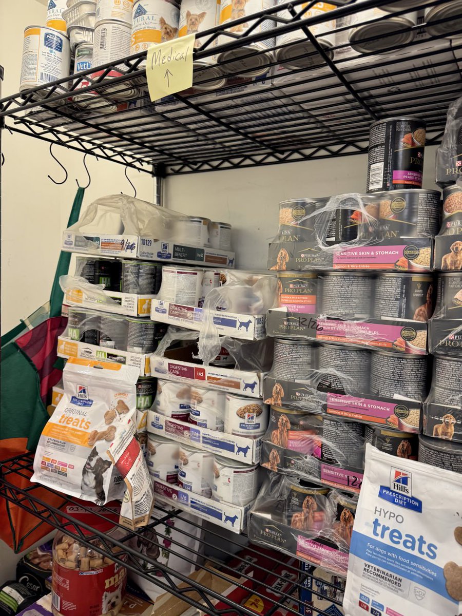 Lin668001's tweet image. I hope these little animals have a place to sleep