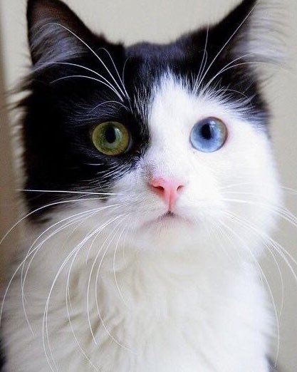น่ารัก น่ารักที่สุด น่ารักเกินไป ㅠㅠㅠㅠ