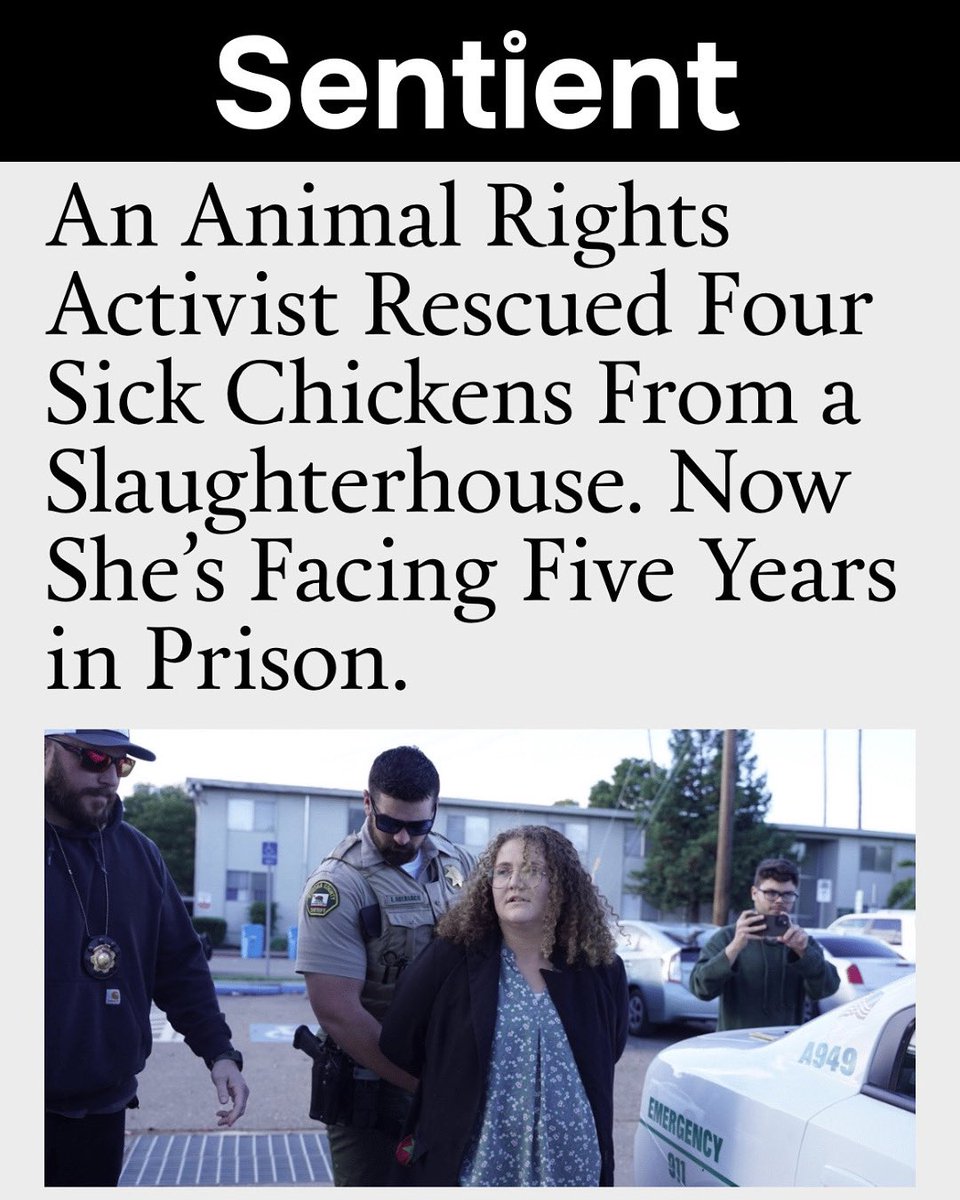 “In 2023, UC Berkeley student and activist Zoe Rosenberg removed four severely ill chickens from a slaughterhouse truck in Petaluma, California, and brought them to an animal sanctuary. Now, she’s facing over five years in prison. Rosenberg’s trial is scheduled for later this