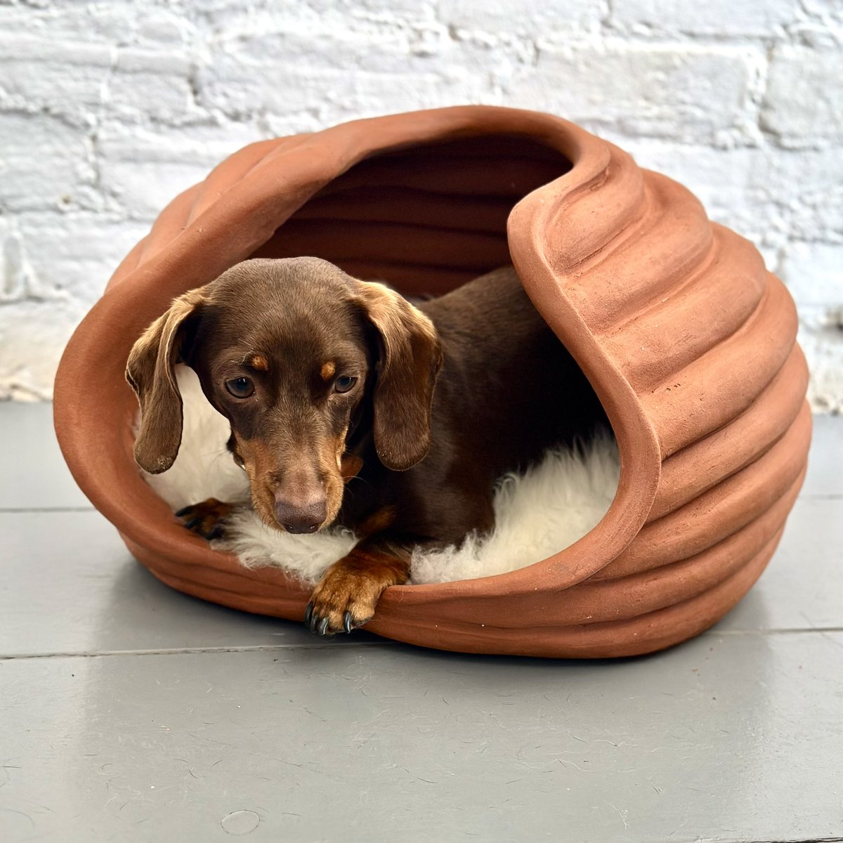 MartinDavidHall's tweet photo. Hall + Bednarczyk will return to Goodwood this weekend, with our nature themed kennel, inspired by dogs’ love of digging, part of Bonham’s auction. We were generously supported with clay, expertise and kiln facilities by @wienerbergeruk  #Goodwoof 
https://t.co/cPLSb4tdta… https://t.co/mFlSQW7wJb