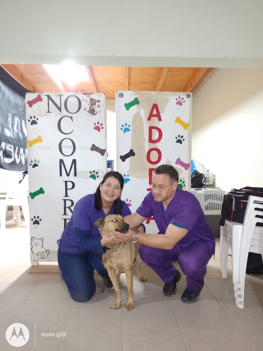 andreaferraciol's tweet image. #CuidadoResponsable 

🫂🐾Hoy nos visitó Lobo 🐕, quien vive en la comisaría N° 21, del #BarrioMelipal. 
🐕‍🦺 El año pasado, el vete Matías lo castró y lo vacunó contra la Rabia. Este año, volvió por su 💉 y sus 💊 desparasitarias. 

#ProteccionANH
@GiovanettL @DDHH_RI_CI