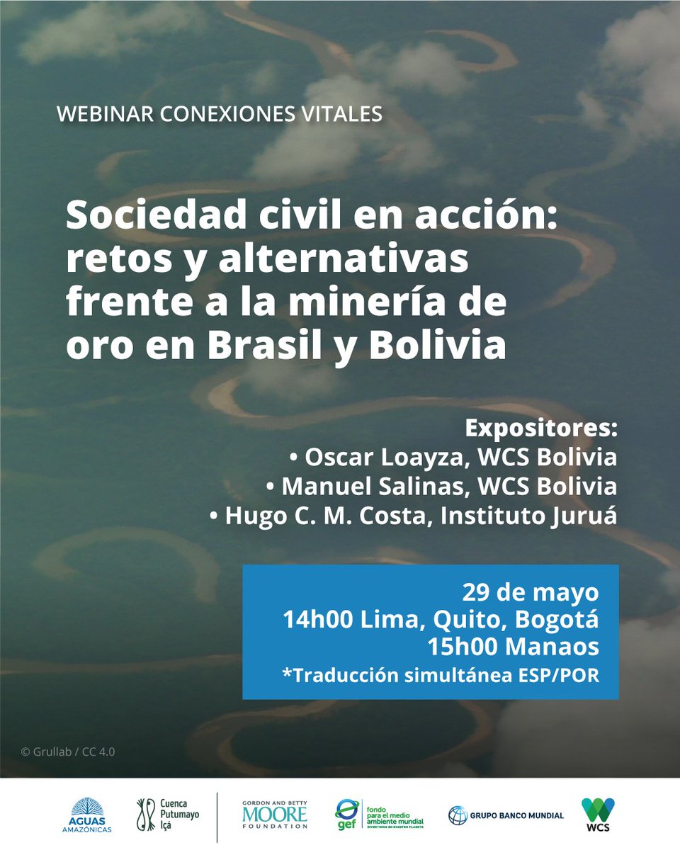 WCS Ecuador 💚💙 (@wcsecuador) on Twitter photo #AguasAmazónicas | Te invitamos al cuarto #Webinar de la serie #ConexionesVitales donde hablaremos de los retos y las experiencias locales frente a la minería lideradas por #WCSBolicia 🇧🇴 y el <a href="/institutojurua/">Instituto Juruá</a> en #Brasil 🇧🇷.
📲 ¡Regístrate! 😉➡️ zoom.us/meeting/regist…
🖐️💚💙 #AguasAmazónicas | Te invitamos al cuarto #Webinar de la serie #ConexionesVitales donde hablaremos de los retos y las experiencias locales frente a la minería lideradas por #WCSBolicia 🇧🇴 y el <a href="/institutojurua/">Instituto Juruá</a> en #Brasil 🇧🇷.
📲 ¡Regístrate! 😉➡️ zoom.us/meeting/regist…
🖐️💚💙