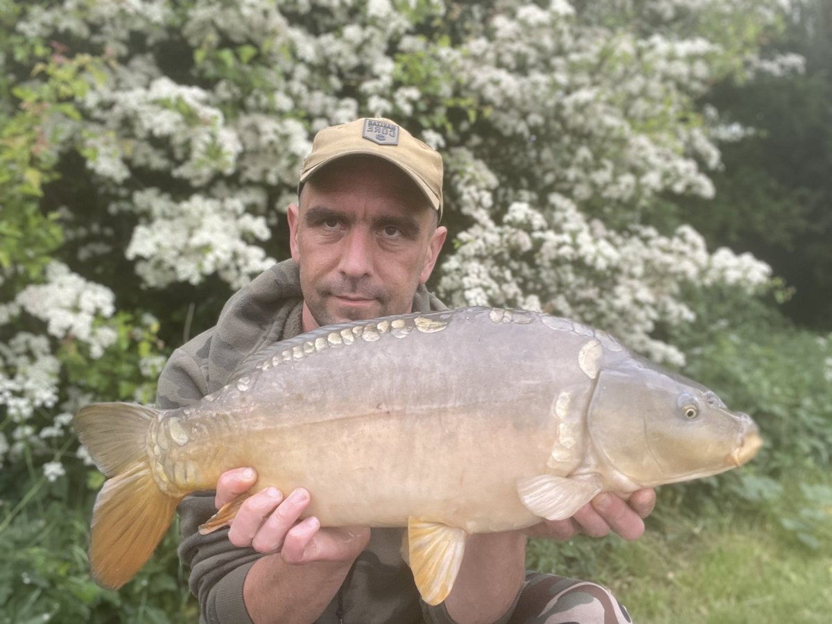 Number 2 no
<a href="/5calesandtails/">scalesandtails</a> 
#8wraps #mirrorcarp #carp #carpfishing #fishing #fishingtrip