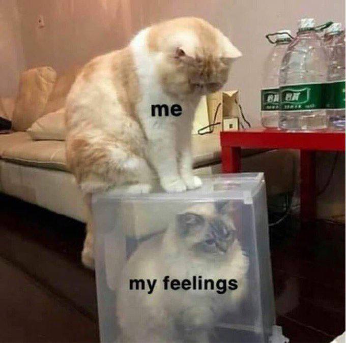 True Memes (@truememes_) on Twitter photo 