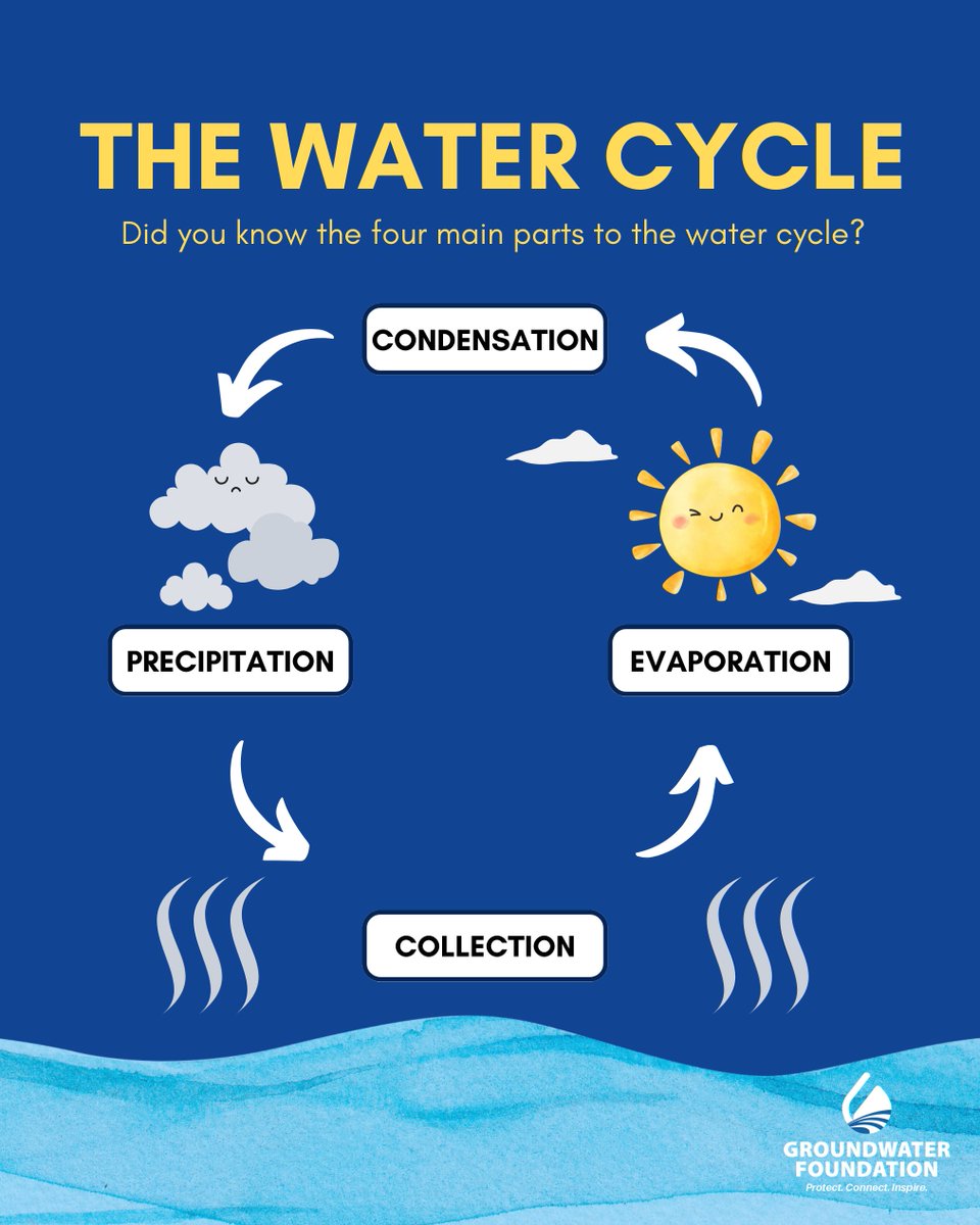 From clouds to collection, every part of the water cycle plays a role in groundwater recharge. 🌧

Explore how it all connects at groundwater.org/hydrologic-cyc…