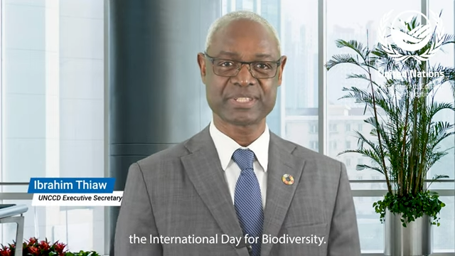 UN Biodiversity (@unbiodiversity) on Twitter photo Watch the #BiodiversityDay 2025 message by <a href="/ibrahimthiaw/">Ibrahim Thiaw</a>, Executive Secretary of the <a href="/UNCCD/">UN Land and Drought</a>.
This year's theme is "Harmony with nature and sustainable development." #KMGBF #GlobalGoals
youtu.be/N0jyZzqbmJo Watch the #BiodiversityDay 2025 message by <a href="/ibrahimthiaw/">Ibrahim Thiaw</a>, Executive Secretary of the <a href="/UNCCD/">UN Land and Drought</a>.
This year's theme is "Harmony with nature and sustainable development." #KMGBF #GlobalGoals
youtu.be/N0jyZzqbmJo