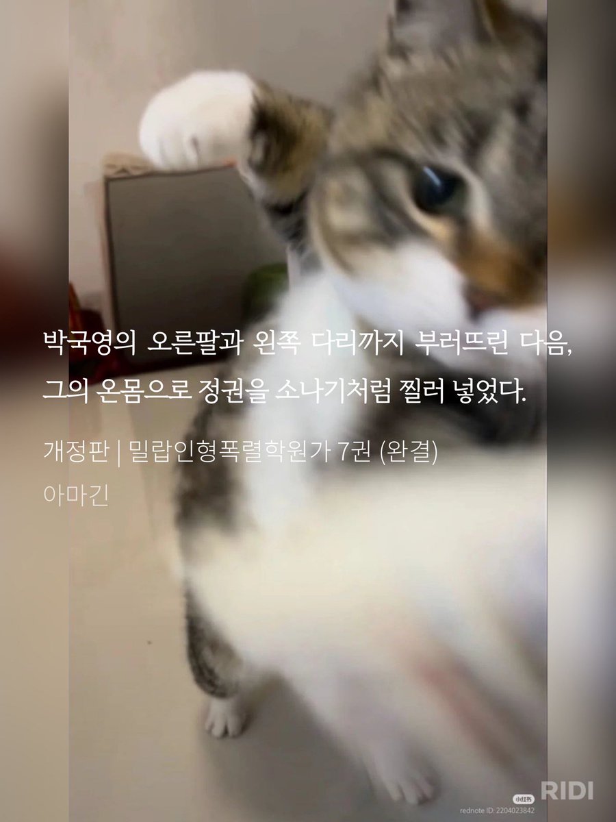 예랑이 패는 예신