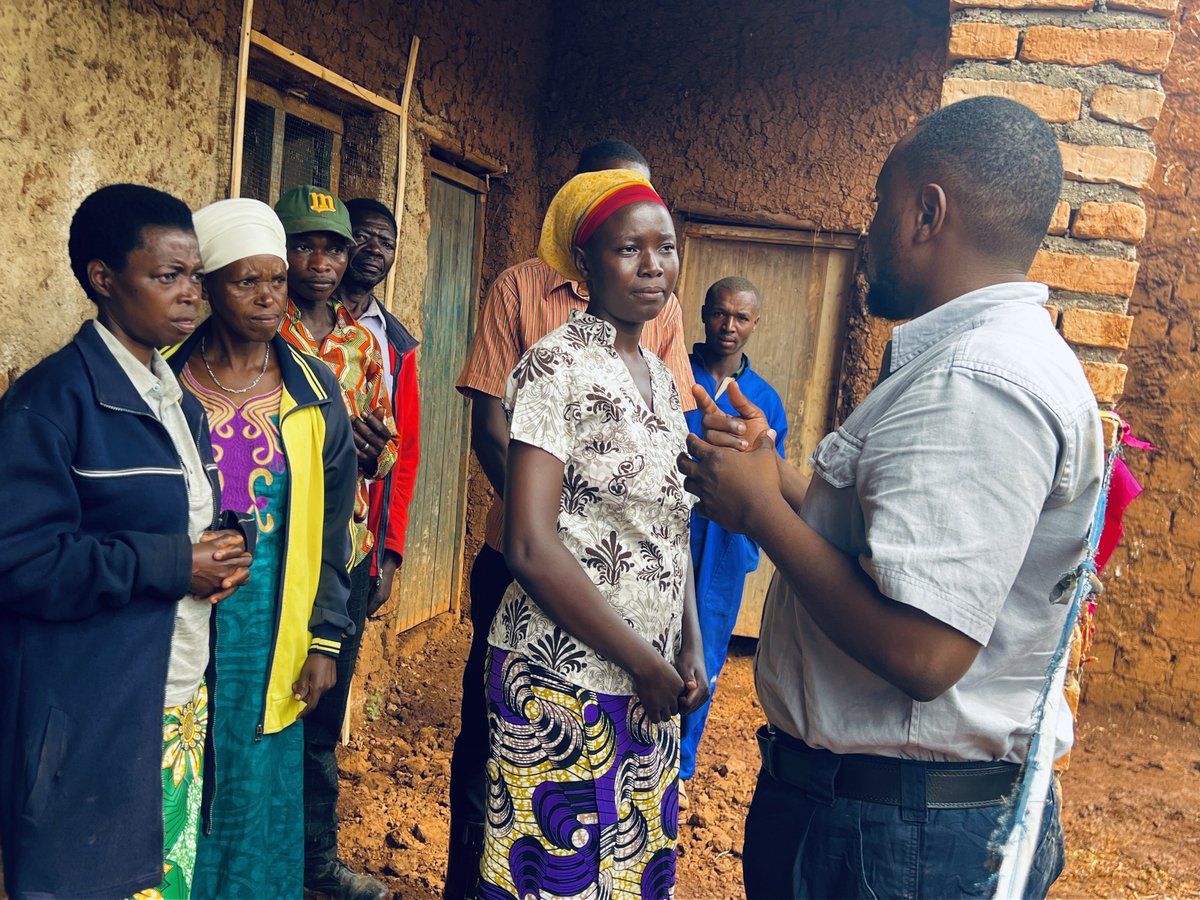 Lee_Fabricee's tweet image. In Mataba Village, located in Nkoto Cell of Murambi Sector, @KarongiDistr, beneficiaries of the #PRISM project are preparing to uplift their community by donating 750 chickens to neighboring households. 

This initiative is part of a broader, community-led effort to combat…