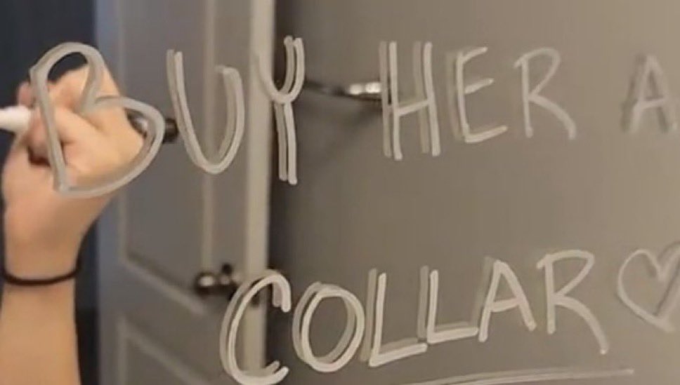 not cute & kinky memes (@cravedcuddle) on Twitter photo 