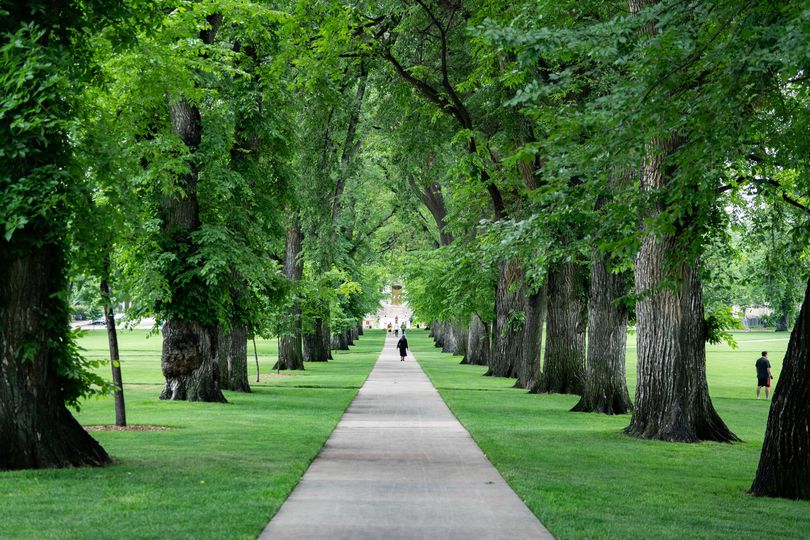 HORN will be on detour on Friday 5/16 during CSU commencement ceremonies. See ridetransfort.com/routes/horn for detour map. Transfort will also be providing shuttle service from the parking lots on Lake St. and the VTH parking lot to Canvas Stadium. 🐏Congrats Grads!