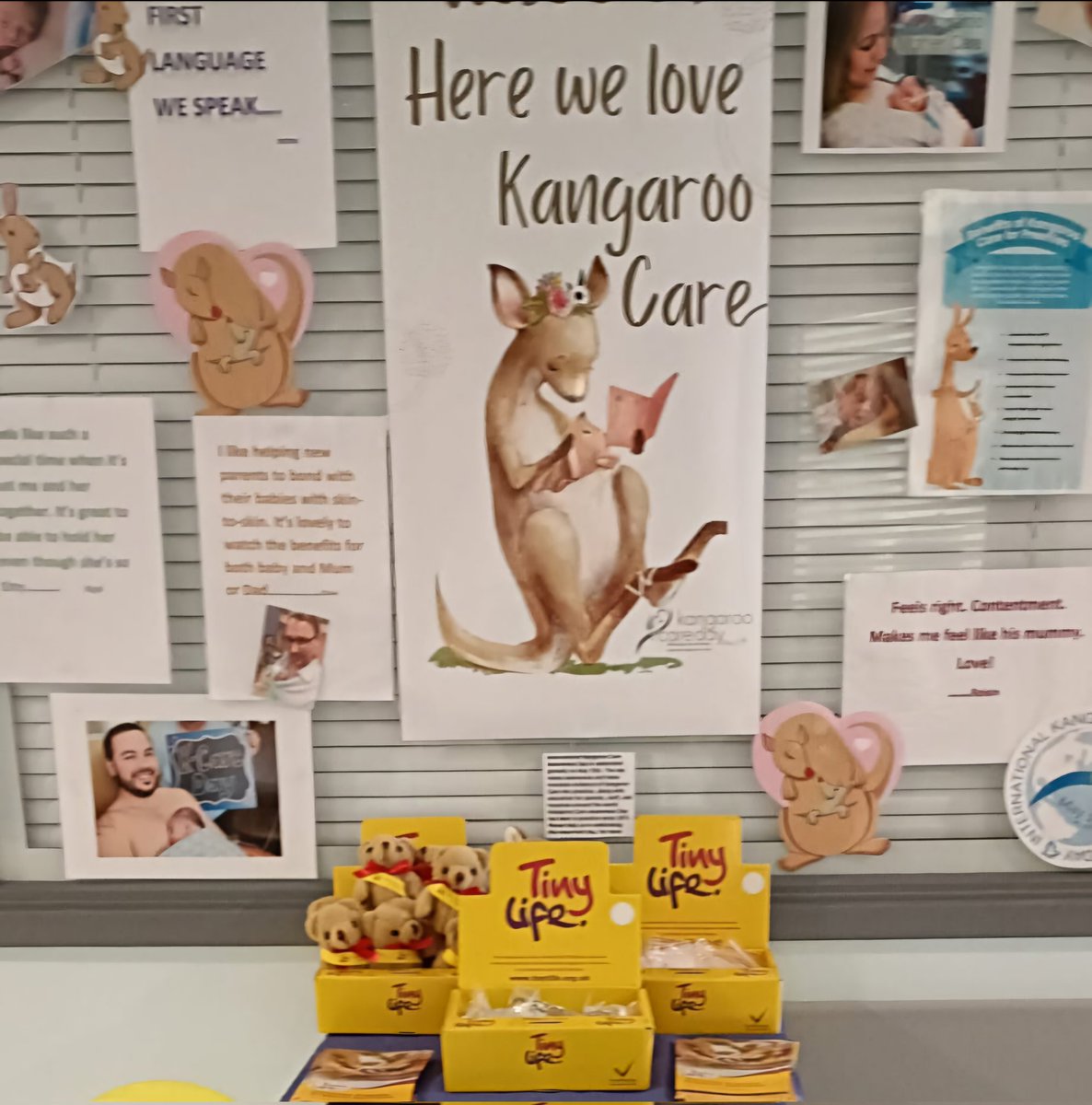 Karen Devlin tweet media