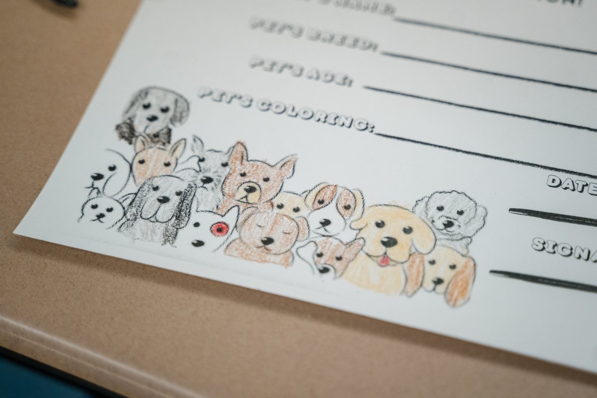 BethpageUFSD's tweet photo. This #ThoughtfulThursday, CBS students learned about animal rescue and created adoption certificates for local shelters! 🐾💜 #CBSKindness #WeAreBethpage https://t.co/PqBjR7uG51