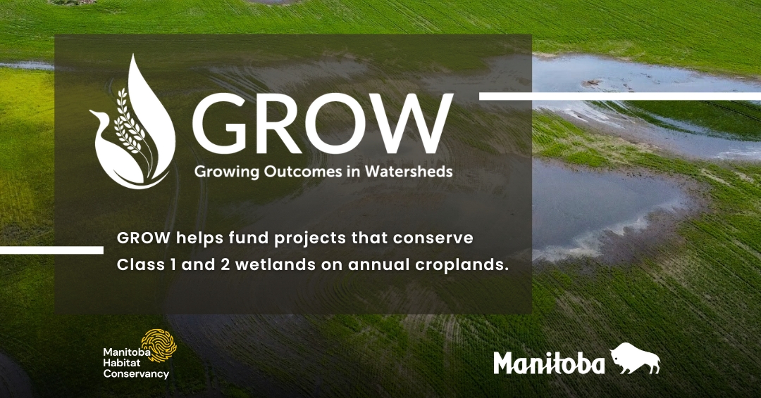 Protecting wetlands is crucial! GROW funds projects that conserve Class 1 and 2 wetlands on annual croplands, which provide vital ecosystem services. Talk to your watershed district to learn more! 

manitobawatersheds.org/grow/#applyGROW

#GROW #GROWFundingMB #mbwatersheds