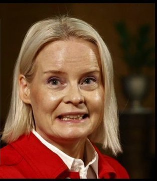 Orpo Parodia Petteri tweet media