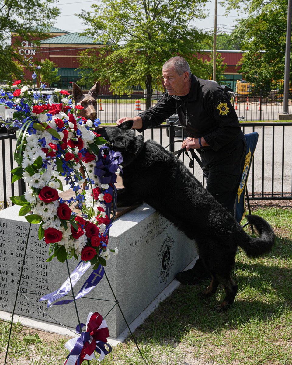 myCVETS's tweet image. Today, @RCSD unveiled a powerful new monument honoring the K9 officers who have given their lives in the line of duty. 🐾💙 We are deeply moved by this tribute and are honored to partner with #RCSD to help care for the animals who serve and protect our community.