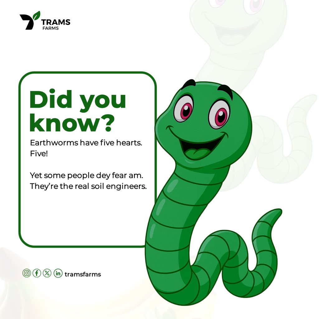 #SoilMatters 
#FarmTalk 
#Tramsfarms