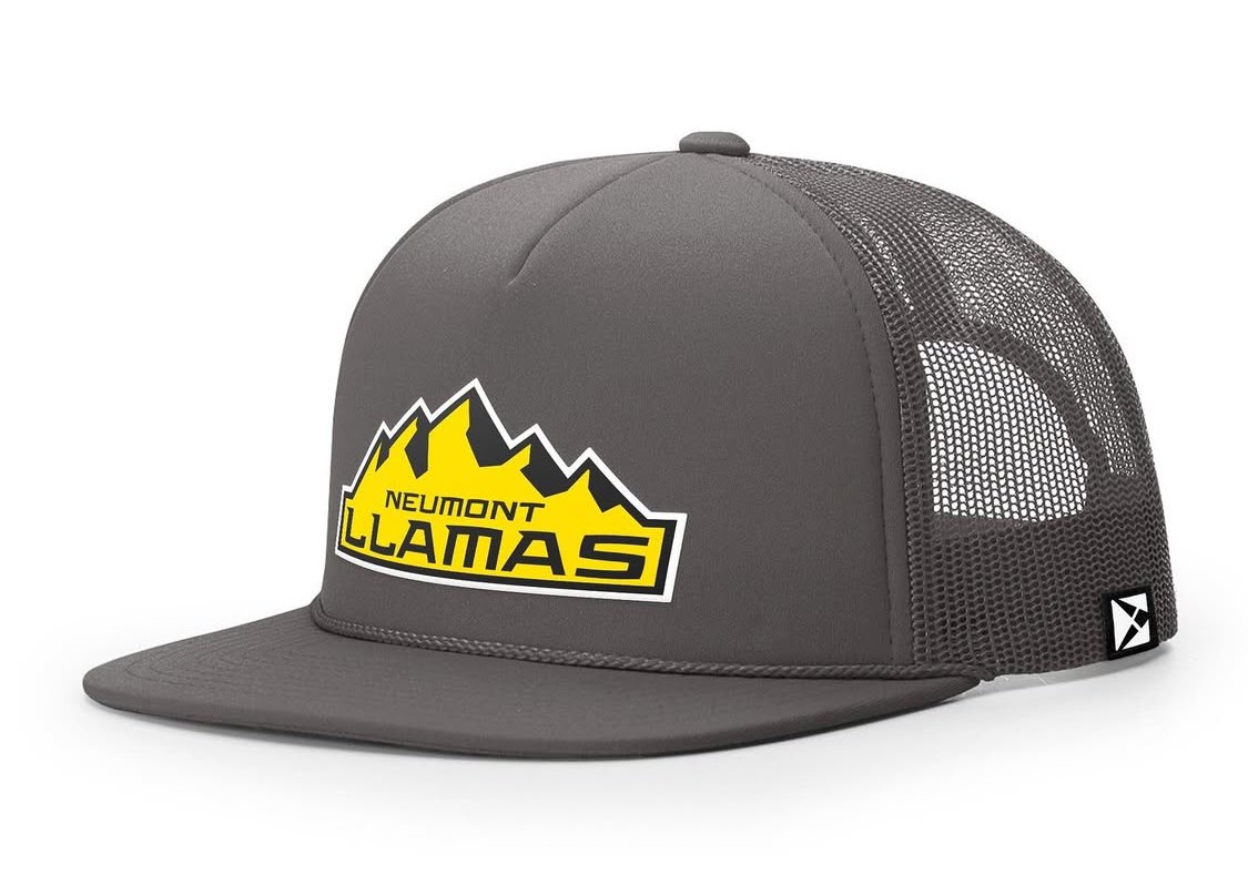 Neumont College of Computer Science (@neumontcs) on Twitter photo Breaking!
Our Esports collection is now available through <a href="/playflyesports/">Playfly Esports</a>
If you’d like to support our teams, 85% of proceeds come back to us to support our activities. Breaking!
Our Esports collection is now available through <a href="/playflyesports/">Playfly Esports</a>
If you’d like to support our teams, 85% of proceeds come back to us to support our activities.