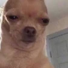 Bueno, en VISTA de que ayer no sufrí lo suficiente💀Hoy vamos a seguir con el Poppy Playtime Chapter 4  

Ayuda por favor JASKJAKS 
Nos vemos en el Twitch preciosos ❤️✨
twitch.tv/lusholive