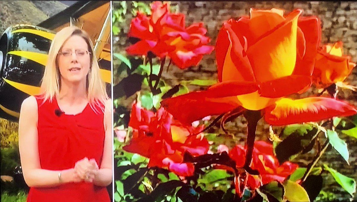 Ruth Wadey tweet media