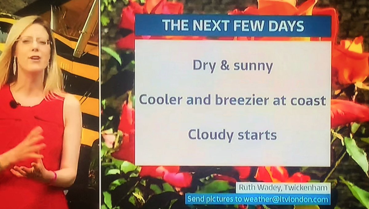 Ruth Wadey tweet media