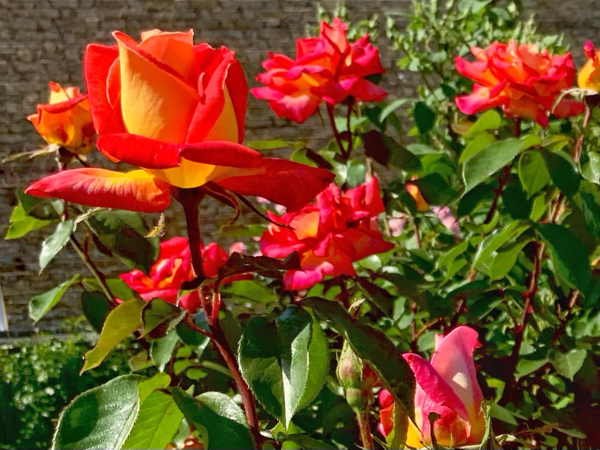 Ruth Wadey tweet media