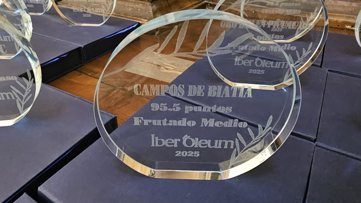 Nuestro presidente, Víctor Serrano, recoge el Premio <a href="/IberOleum/">Iber Oleum</a> a nuestro #DamaIberaAOVE. Con 95,5 puntos en la categoría Frutados Medios, es un honor recibir este reconocimiento de manos del gerente de la <a href="/igpaceitedejaen/">IGP Aceite de Jaén</a>, Miguel Soto. #SoyCamposdeBiatia