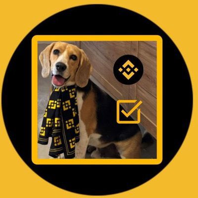 nerdsdegen's tweet photo. A new token called $DIPPER was discovered on-chain — created by the same wallet cluster behind Binance’s $TUT and $TEST.

This all started from a wallet address shown in a Binance tutorial video.

Here’s the full breakdown of how it was found.
Thread Below📌
Tag: @DipperOnBNB https://t.co/wKXIKEPkLw