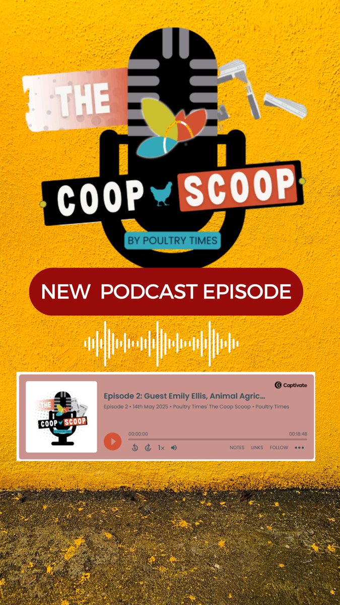 PoultryTimes's tweet photo. A brand new episode of The Coop Scoop is out now! 🎉 Join us as we chat with the Animal Agriculture Alliance about the latest in animal welfare and industry insights. Tune in here: https://t.co/zEwveVi7Uw 
#Podcast #AnimalAgriculture #NewEpisode #PoultryTimes #CoopScoop https://t.co/qlxK9ej5M7