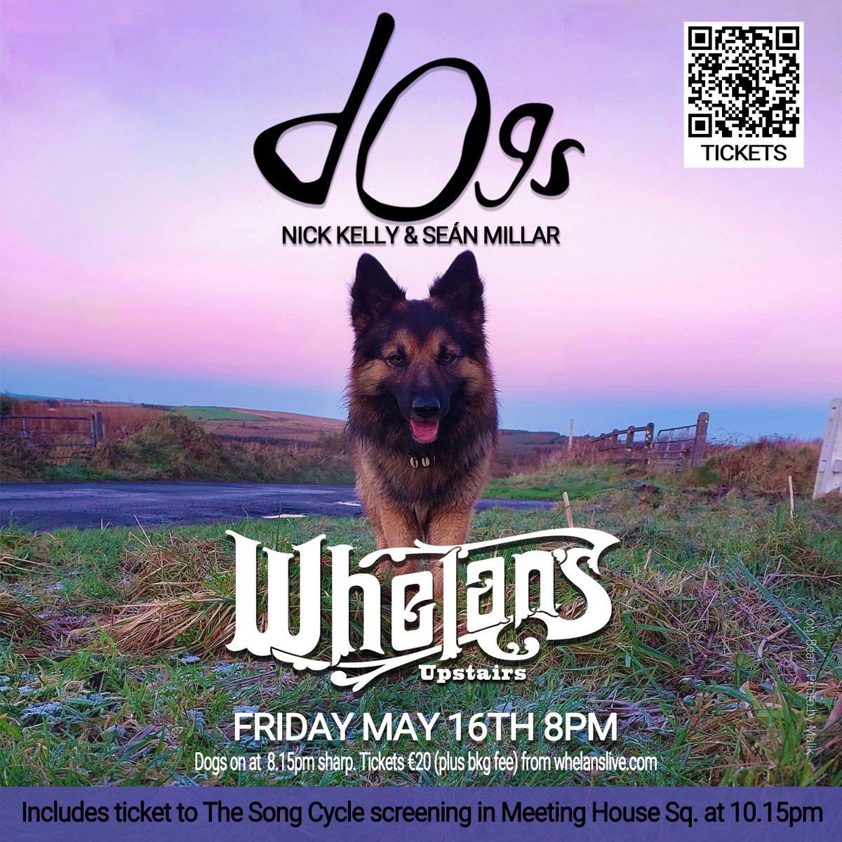 Nick Kelly World tweet media