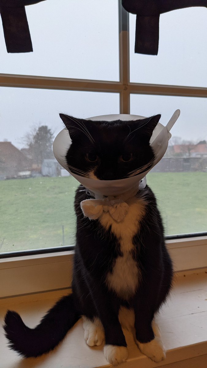 For the revolution 
For #dingleberryjones
#lovedeathandrobots