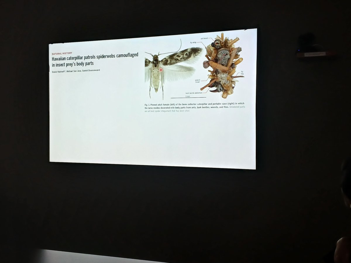 Ahmed Ibrahim (@theibrahimlab) on Twitter photo <a href="/MarbanLab/">Eduardo Marban, MD, PhD</a> expertly presents a journal club article describing millimeter-scale optoelectronic implantable pacemakers and a bonus article on the strange case of the carcass-clad bone caterpillar. Never a dull moment at lab meeting! #Science #JournalClub #Cardiology <a href="/MarbanLab/">Eduardo Marban, MD, PhD</a> expertly presents a journal club article describing millimeter-scale optoelectronic implantable pacemakers and a bonus article on the strange case of the carcass-clad bone caterpillar. Never a dull moment at lab meeting! #Science #JournalClub #Cardiology