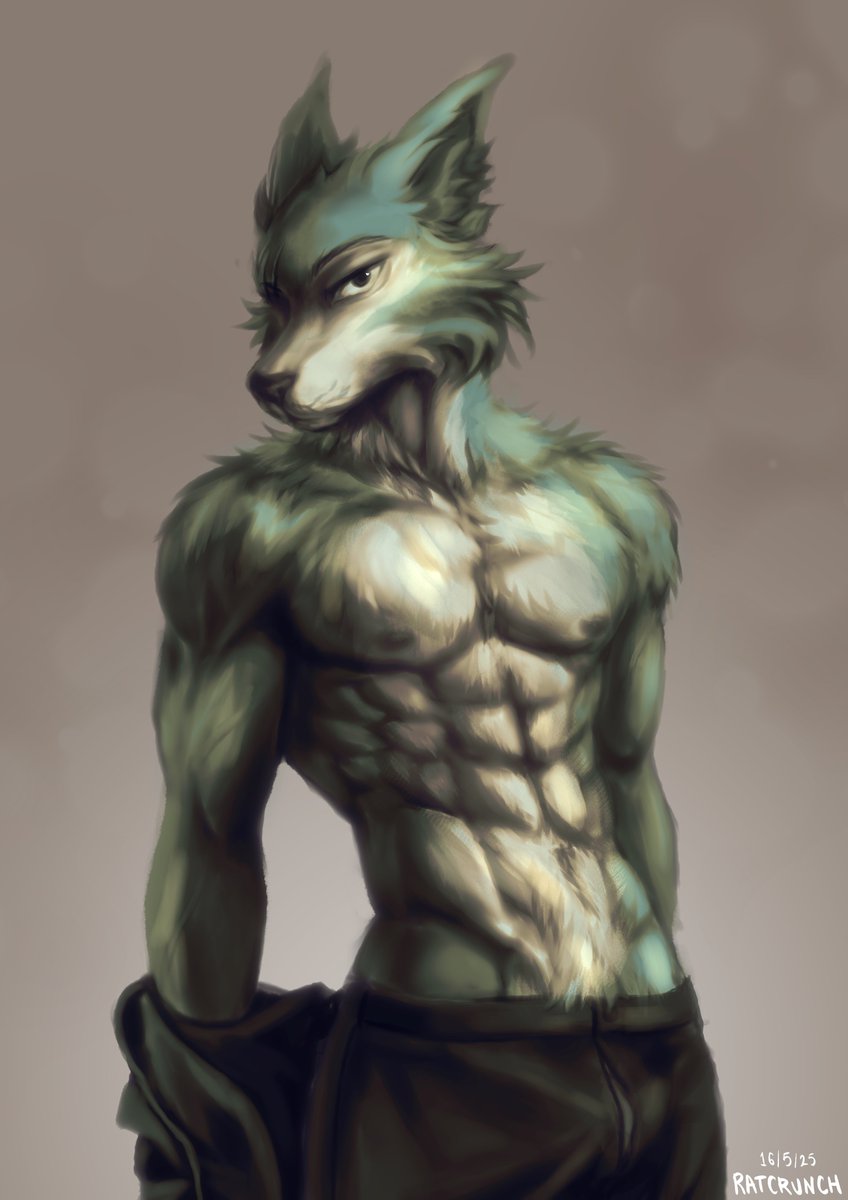 legoshi anatomy study